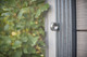 Gardendreams | Glasschuifwanden met 8 mm panelen | 700 cm | 5-rail