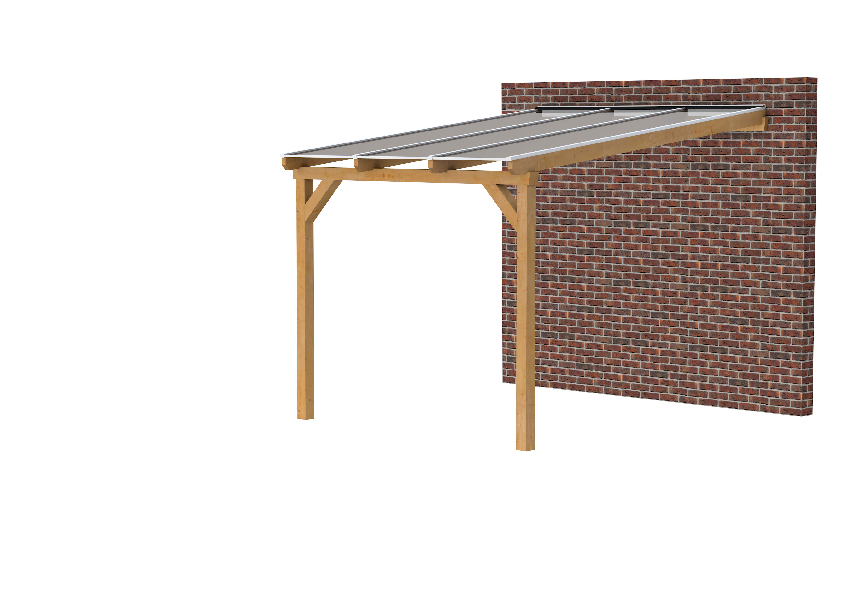 Woodvision Veranda | 300 x 400 cm | Heldere dakplaat