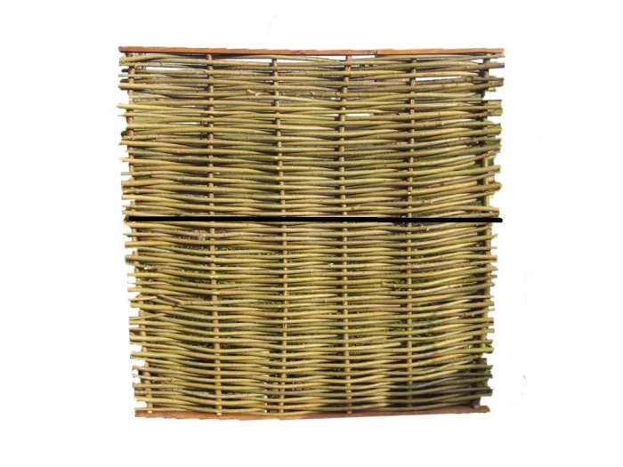 Preloaded product image