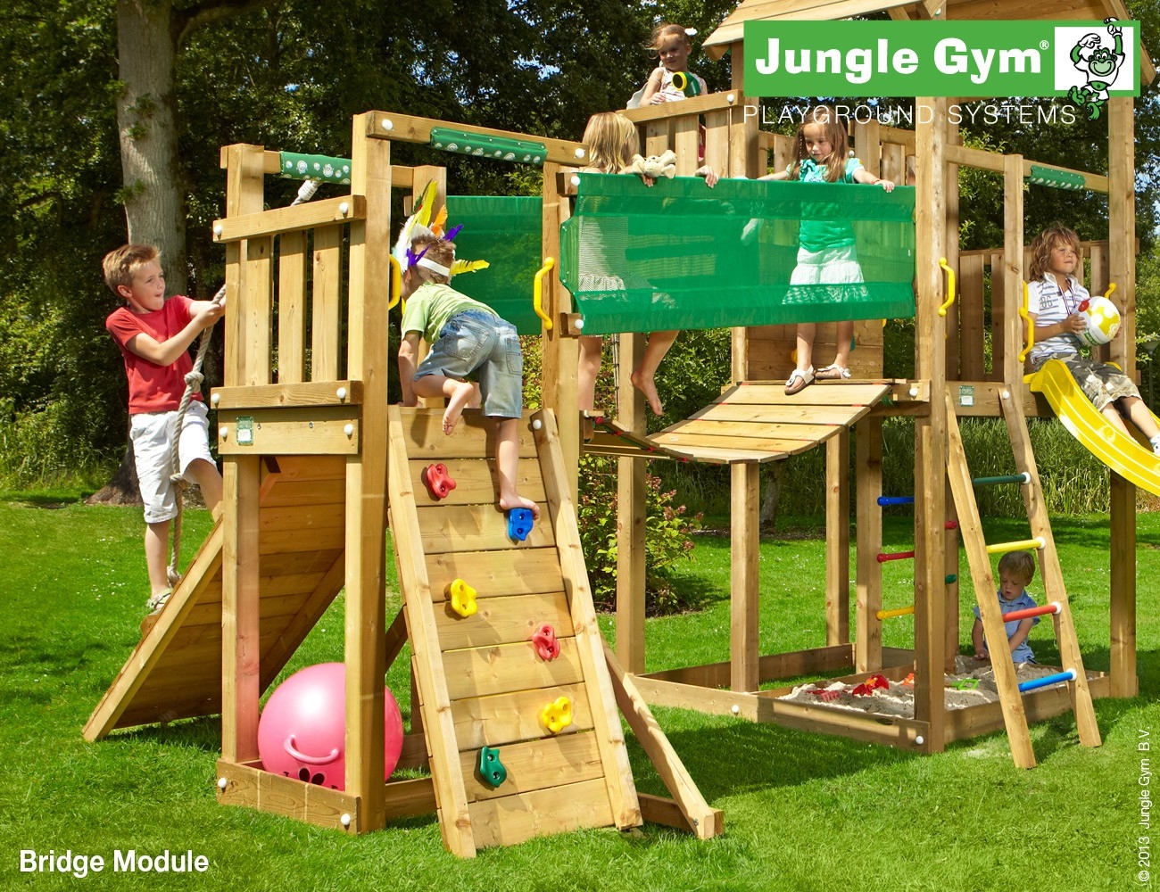 Jungle Gym | Bridge Module