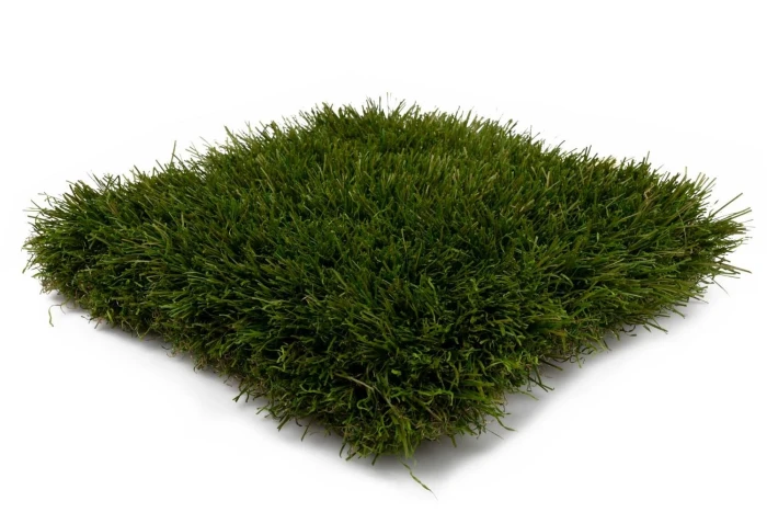 Preloaded product image