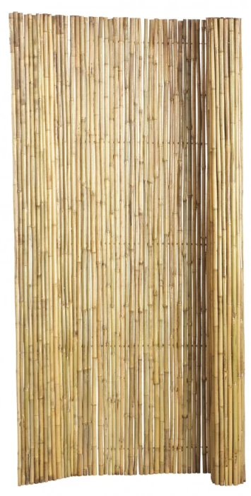 Preloaded product image