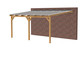 Woodvision Veranda | 600 x 400 cm | Heldere dakplaat