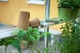 Royal Well | Hobbykas Compact 66 Tuindersglas 3 mm (Antraciet grijs gecoat)