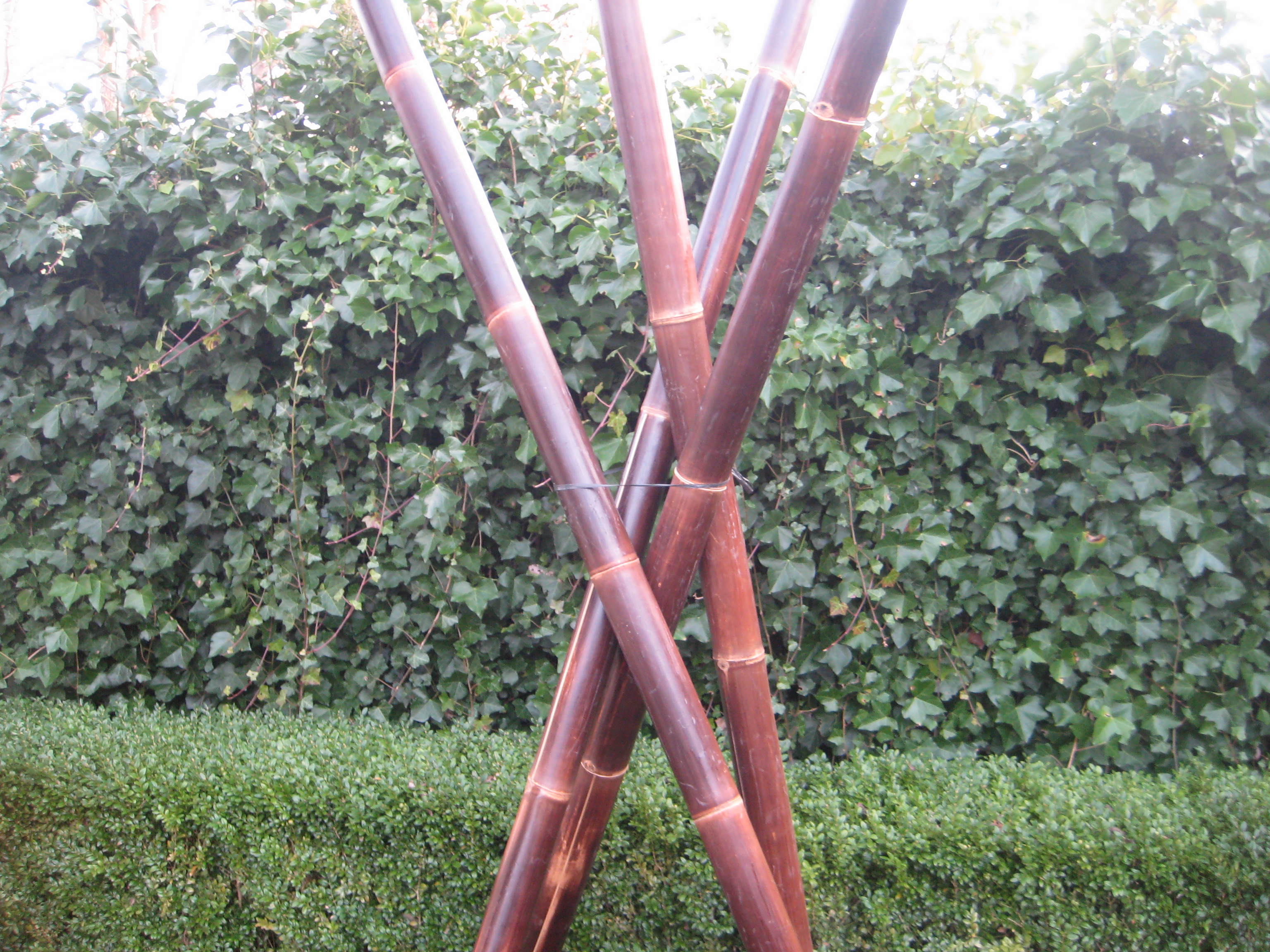 Westwood | Bamboe paal | Zwart | 300 cm | 8-10 cm