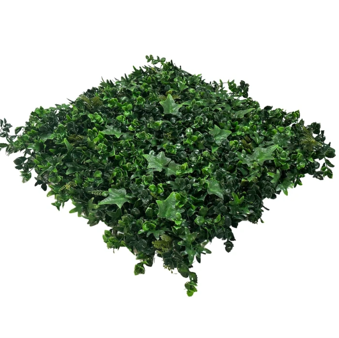 Preloaded product image