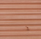 Vlonderplank/dekdeel | Douglas | 28 x 175 mm | 400 cm