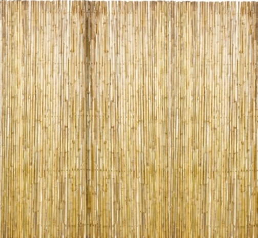 Woodvison | Bamboescherm | 100 x 180
