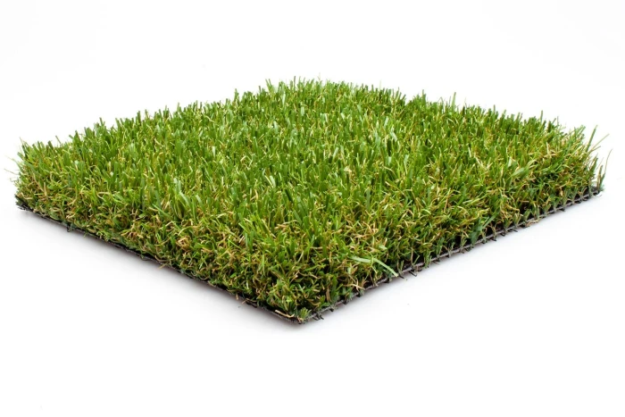 Preloaded product image