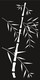 Cortenscherm Bamboe - 120x60 cm