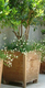 Adezz | Bloembak Sevilla taps | 70 x 70 x 99 cm