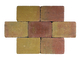 Gardenlux | Pebblestones 20x30x6 | Lizard