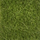 OUD_Gardenlux | Grass Art | Luxury