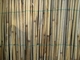 Westwood | Rietmat Puszta | 125 x 200 cm