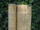 Westwood | Rietmat Tisza | 75 x 200 cm