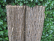Westwood | Bamboe Pluimmat | 100 x 300 cm