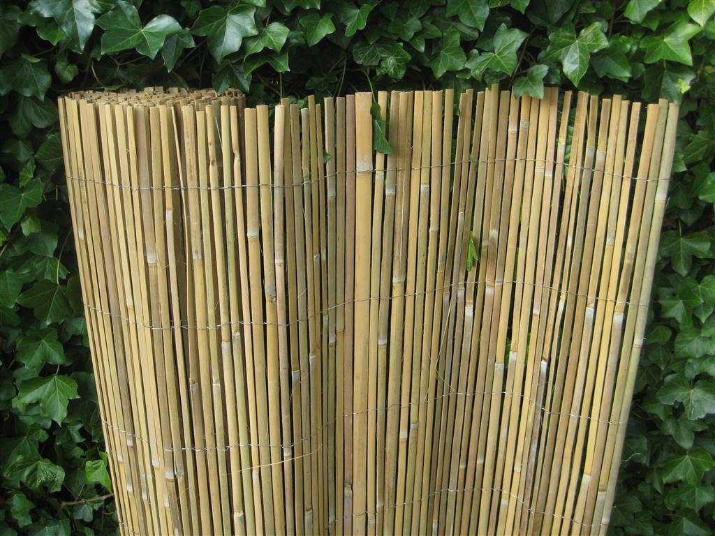 Maak avondeten bedreiging stimuleren Westwood | Bamboemat Gespleten | 100 x 500 cm