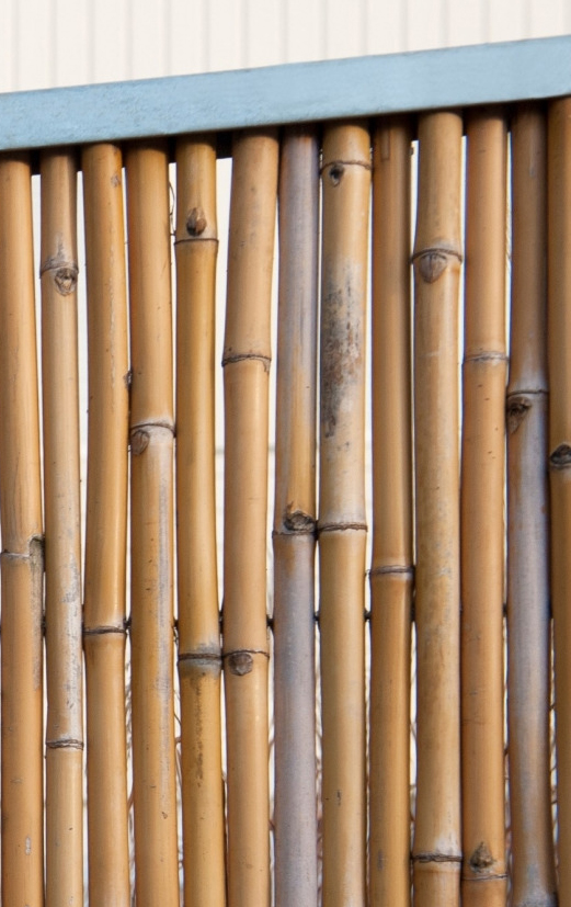 bevroren Geit neem medicijnen Bamboescherm op rol | 100 x 180 cm